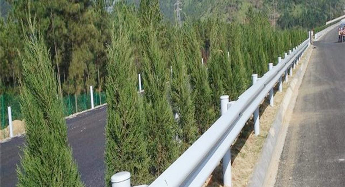 波形護(hù)欄板、鄉(xiāng)村道路護(hù)欄、單波護(hù)欄板世騰加工定制